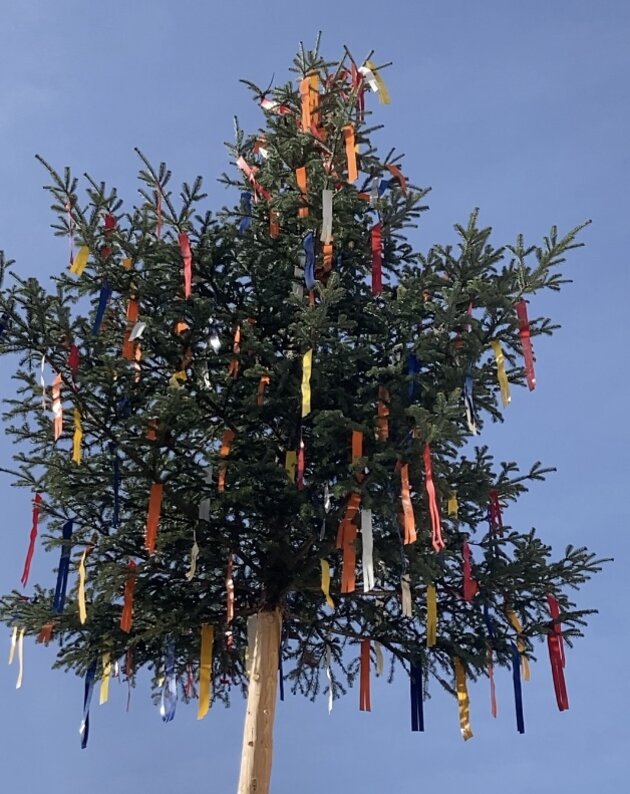 Der Maibaum streckt sich gegen den blauen Himmel. Bunte Bänder flattern im Wind. e Bö