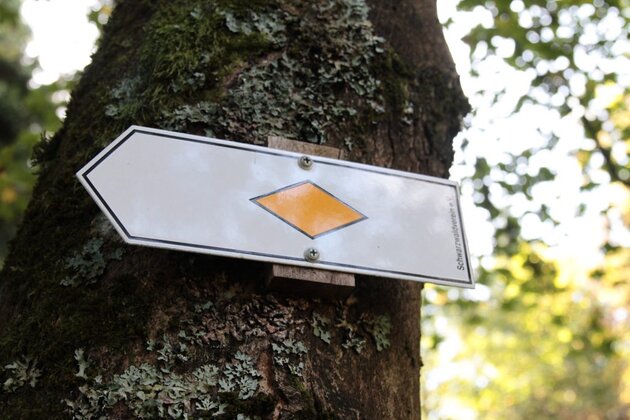 Das Bild zeigt ein Schild in Pfeilform. Der Pfeil zeigt nach links. Auf dem Schild ist eine quer liegende gelbe Raute auf weißem Hintergrund zu sehen. Das Schild ist an einem Baum befestigt. 